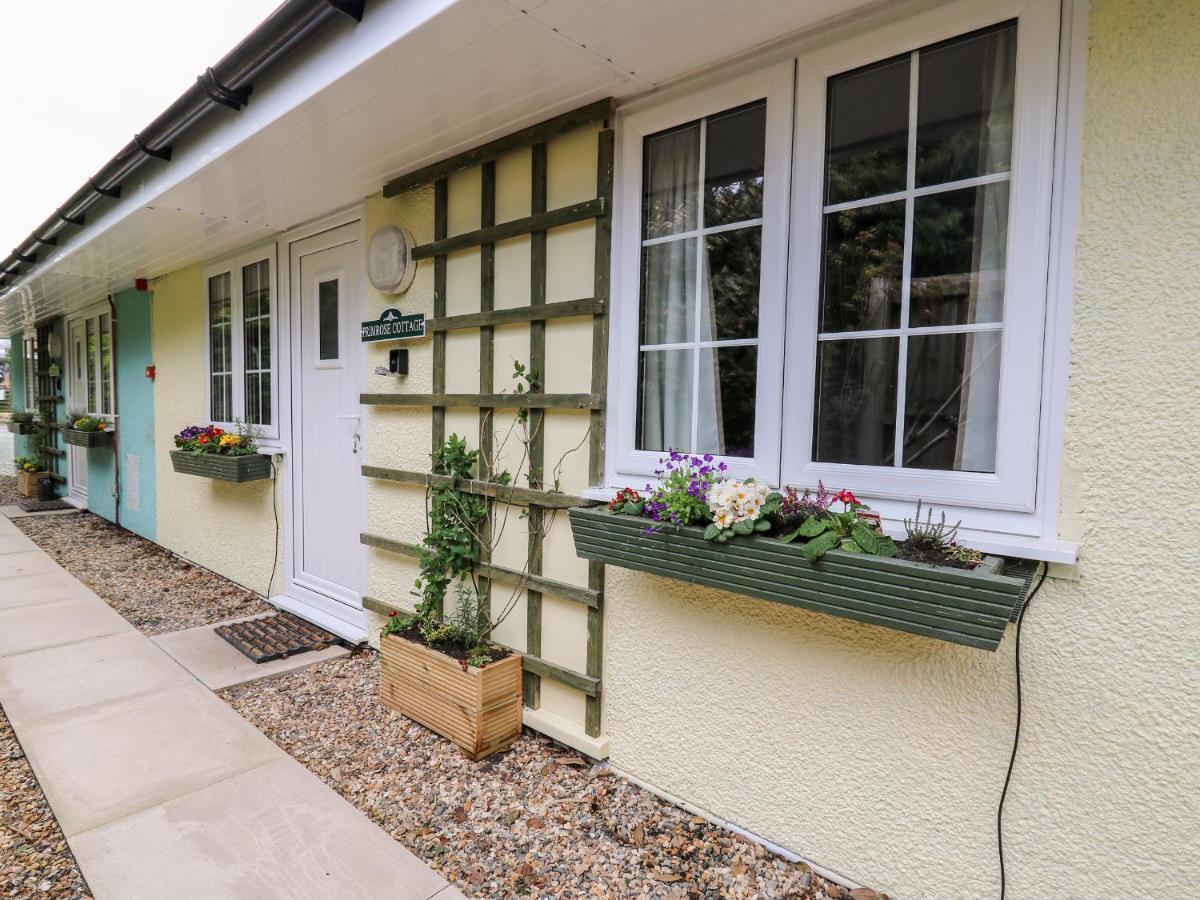 Primrose Cottage 랜드린도드웰스 외부 사진